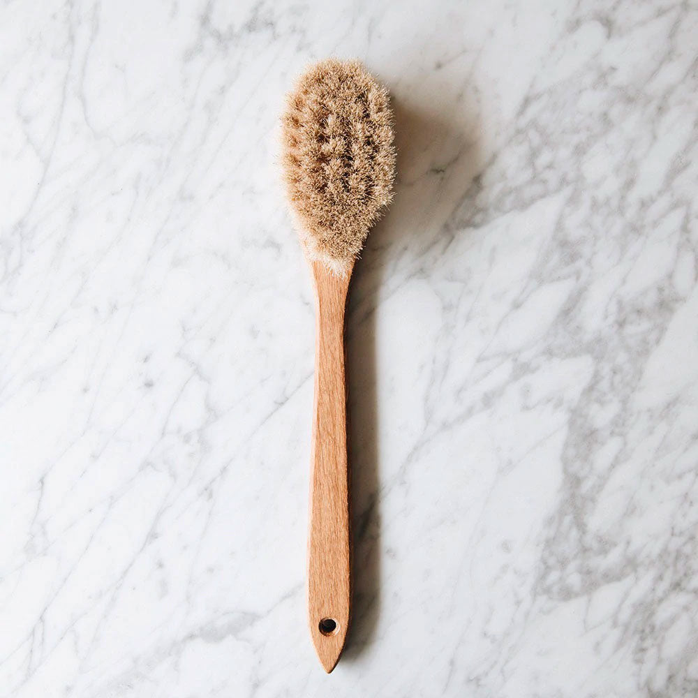 Long Handle Bath Brush, Dry Brush –
