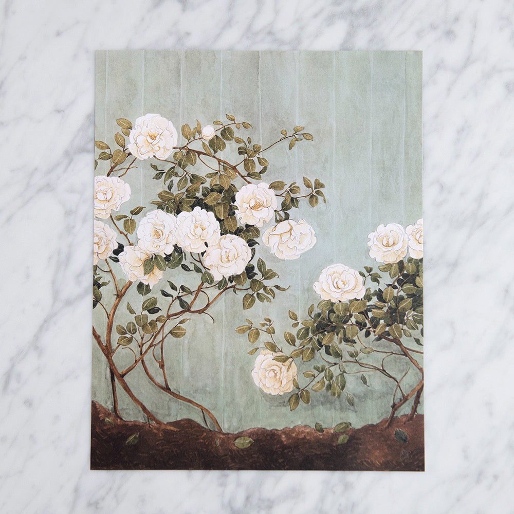 Roses Print - 11 x 14"