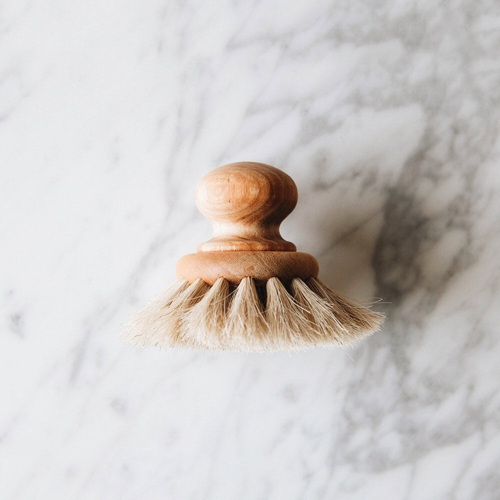 Dish Brush with Round Knob – Humble & Grand
